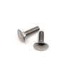 Bullone a testa tonda con collo quadrato in acciaio inossidabile 314 316 M5 M6 DIN603 INOX A4 INOX A2 