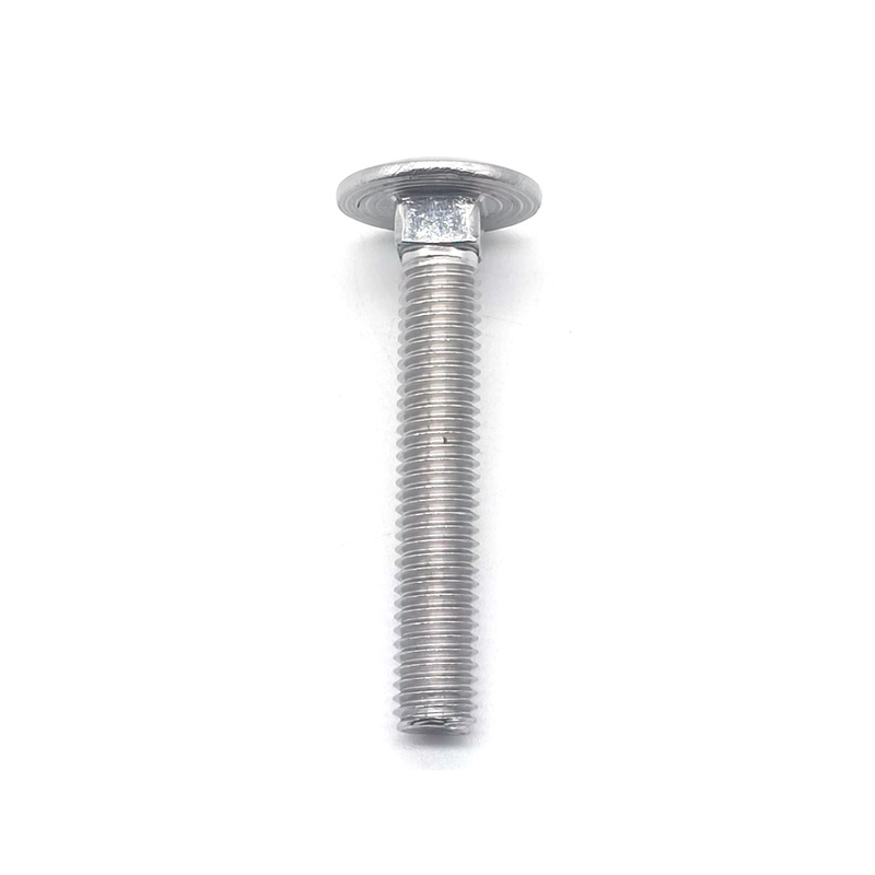 Bullone a testa tonda a collo tondo M8x50mm in acciaio inossidabile DIN603